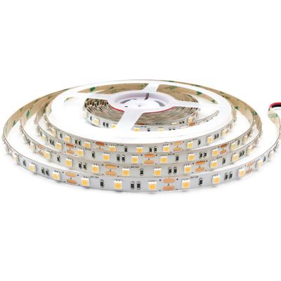 China Various decoration good quality pcb water proof dc12v 24v copper ww led flexible strip light for sale