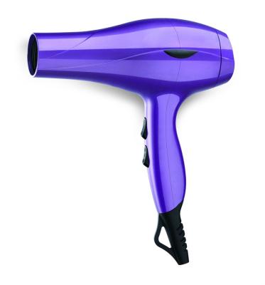 China Hair Dryer 2021 Professional Tools Professional ABS Beauty Hair Salon DC Motor Materials for sale