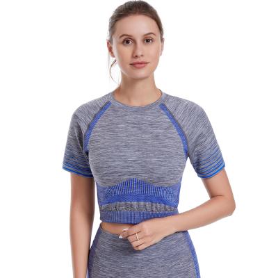 China Amazon Gray Ladies Yoga Set Women Gym Wear Blue Tops Ladies Gym Wear Sets Latest CHALET Breathable Hot Sale for sale