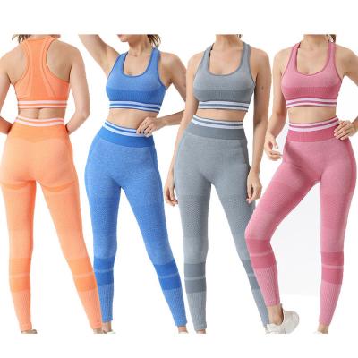 China Wholesale Women's Sexy Active Seamless Sexy QUICK DRY Women's Long Yoga Bra Sports Wear Shorts Legging Protector Set for sale