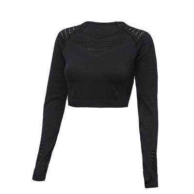 China China Manufacture Professional Color Thumb Hole Long Sleeve Woman Yoga Top for sale