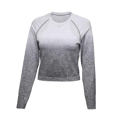 China Breathable Factory Manufacture Various Light Grey Seamless Long Sleeve Women Custom Yoga Top for sale