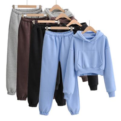 China 2021 Winter New Sweater Women Fleece Breathable Casual Two-piece Crop Top Hoodie And High Waisted Solid Color Sweatpants for sale