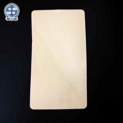 China Berlin Big Blank Double Sides Disposable Silicone Practice Skin for Microblading for sale