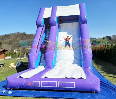 China Home outdoor slide inflatable bounce party arena plaground backyard entertainment giant inflatable slide for adutls for sale