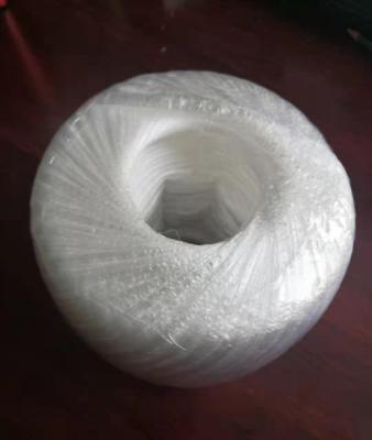 China Professional Cheap Plastic Foam Rope Binding Rope Violent Packing Rope Netting PP Rope for sale