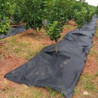 China Agricultural Garden Grass Proof (100~105g/ãŽ¡) Hot Selling Cheap Custom Black Garden Grass Waterproofing Weed Cloth for sale