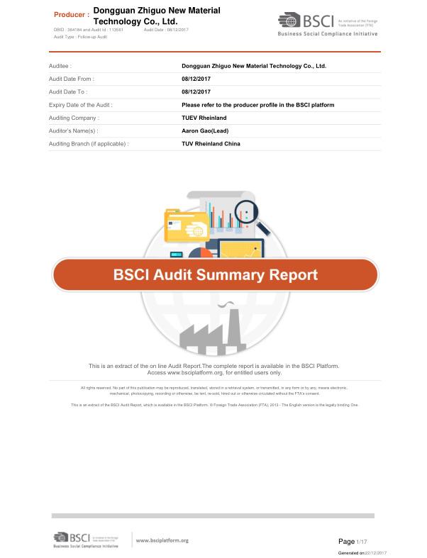 BSCI - Dongguan Zhiguo New Material Technology Co., Ltd.