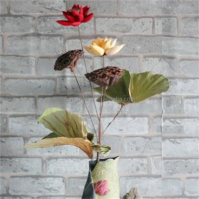 China Natural Christmas Household Dry By Flower Bouquet Lotus Flower Home Decoration for sale