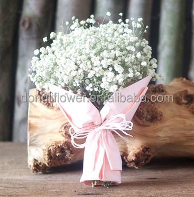 China Gifts Dried Natural Gypsophila Flower Group Dried Flower China Wholesale for sale