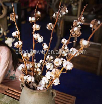 China Decoration wholesale 100% natural cotton boll stem branch for sale