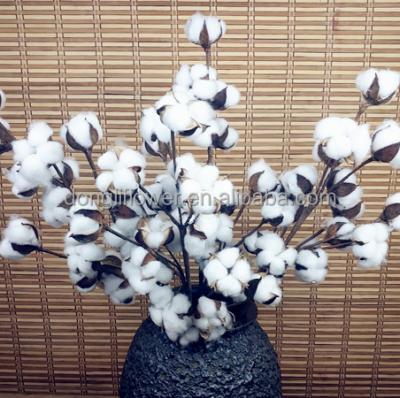 China Decoration Cotton Swab Spray 6 Stem Capsule 8 Capsule 10 Capsule China Wholesale Cheap Price for sale