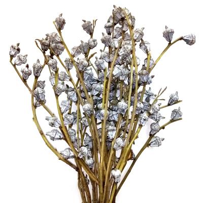 China Natural dry eucalyptus branch spray bouquet for new year decoraion F6659 for sale