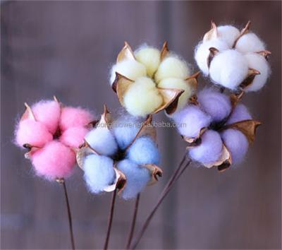 China Natural high quality colorful painted cotton bud natural boll stalk hot sale for sale