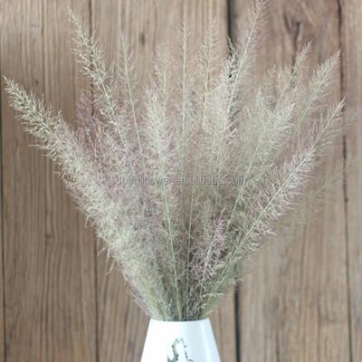 China Decoration Dried Natural Grass For Office , Indoor Outdoor Meeting Room Public Decoration for sale