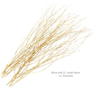 China Decorative Birch Twig Branches With Glitter Gold Silver Metallic Paint Color for sale