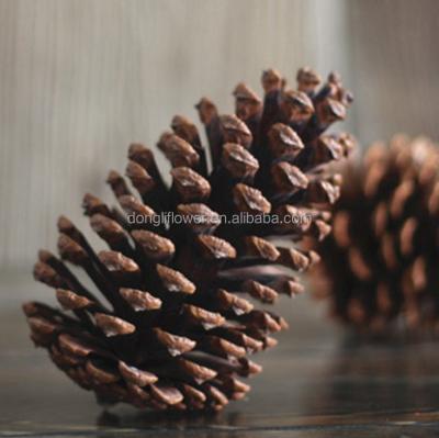 China Open big deal apple, pine cone, pinecone for sale