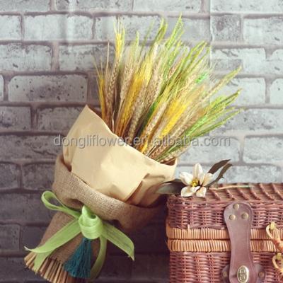 China Craft Project Wheat Dry Natural Group Plant Natural Craft For Birthday Gift for sale