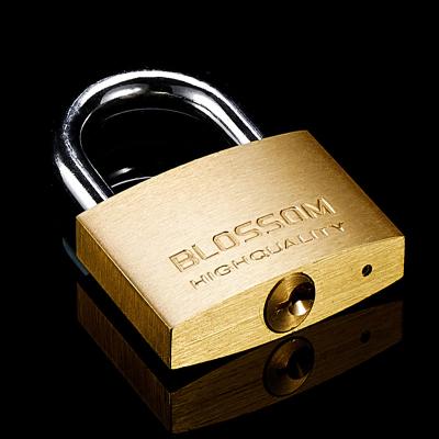 China Wide Application BC16 30mm Locker Padlock Protection Lock Sets Producent Copper Padlock Keys 32mm Master Key Brass Padlock for sale