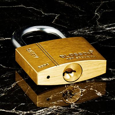 China Application 40mm Pin Cylinder Key Lock Metal Material Key Padlocks Wide And Keys Same Bulk Chinese Brass Lock And Key for sale