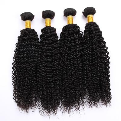 China Jerry Curly Wholesale Drawn Jerry Curly Double Curly Bundles 100% Unprocessed Hair For Braiding Human Virgin Brazilian Hair for sale