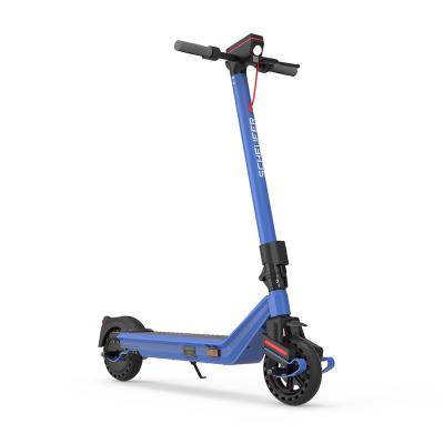 China kukudel 856PG two wheels unisex portable electric adult scooter foldable with ABE certificate for sale