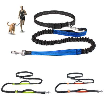 China Durable Hands Free Dual Handles Padded Running Dog Leash With Running Dog Pet Retractable Hands Jogging Free Walking Leash for sale