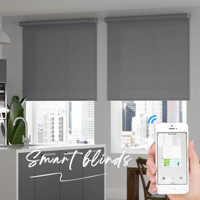 China Modern motorized remote window roller blind shades motor tuya zigbee smart wifi automatic electric motorized roller blinds for sale