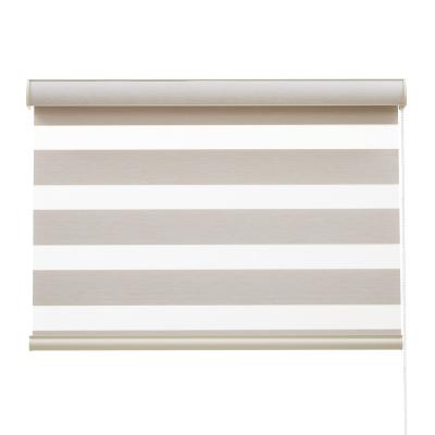 China CLASSIC morden style zebra blind curtains hot sale roller shades for sale