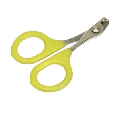 China Sustainable Fast Delivery Pet Small Animals Beauty Tools Grooming Nail Scissors for sale