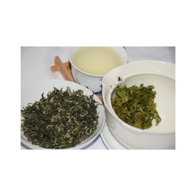 China DIET best of TEA selling fresh and sweet Bi Luo Chun Tea Dong Ting Bi Luo Chun Green Tea for sale