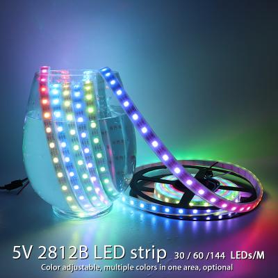 China IP65 30 Ws2812b Rgb LANDSCAPE Light Ws2812 Black Waterproof Led Strip 2812 for sale