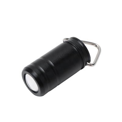 China Camping 200 Lumen Mini Led Keychain Flashlight Rotating Switch Torch Light for sale