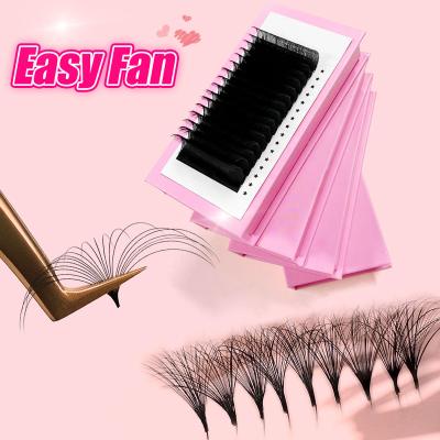 China Natural Eyelash Extensions Natural Easy Eyelash Extensions Cashmere Fan Lick Extension Fan Abonnie Private Label Korean pbt Eyelash Extensions for sale