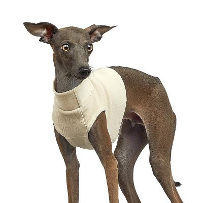 China New Style Custom Clothes Clothing Designer Italian Greyhound Viable Border Turtle Neck Home Sweatshirt For Little Puppy for sale