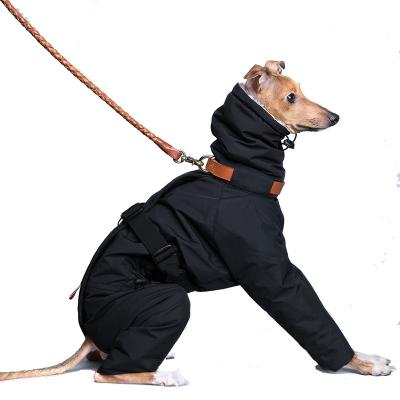 China Stocked doberman turtle neck sports corset padded sweater raincoat jacket coat dog outerwear warm winter coat for sale