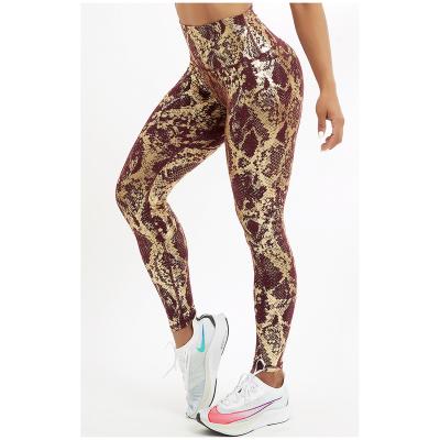 China Breathable popular tan running fitness pattern yoga pants wear women top bra high waist sport leggings snake print sexy yoga pants for sale