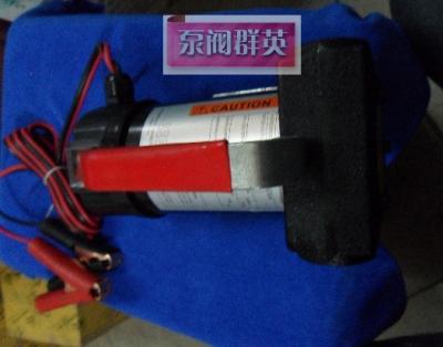 China 12V fuel transfer pump mobile car pump china export for sale