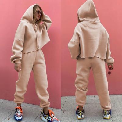 China Wholesales QUICK DRY Winter Women's Autumn Casual Cotton Sports Hooded Hoodie Set Two Pieces for sale