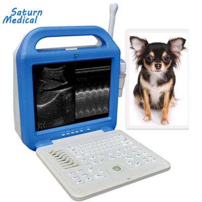 China Portable Pig Laptop Pet Vet Ultrasound Machine With CE for sale