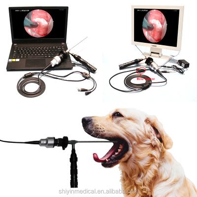 China Reusable Medical Endoscope USB Camera for Ear Nose Manufacturer for sale