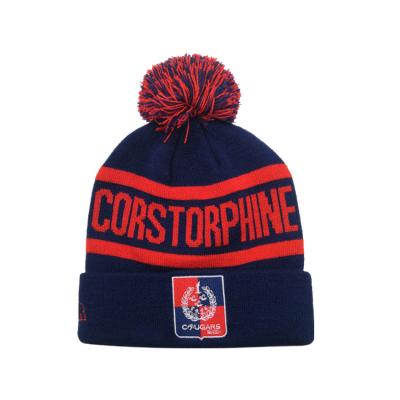 China COMMON Fashion Unisex Acrylic Cotton Custom Design Embroidery Pompom Knit Beanie Hat for sale