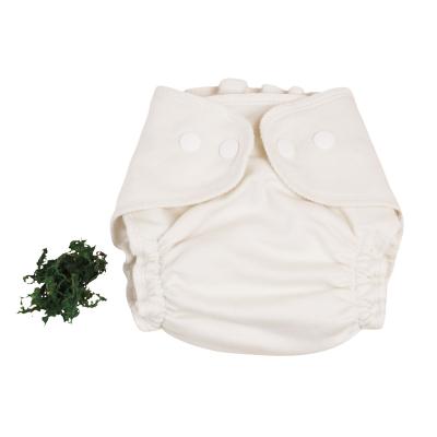 China Eco-Friendly Cloth Diaper Newborn Baby Fitted SeaCell Cloth Diaper Soft Washable Premature Diaper for sale