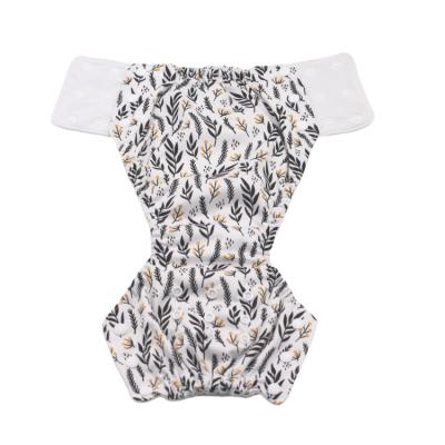 China Customized Training Diaper Printed Pant Cloth One Fit All Diaper Cloth Diaper Training Cloth Training Diapers for sale