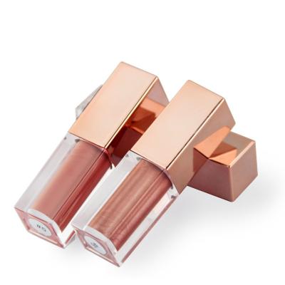 China Private Label Waterproof Hot Selling Multi Colors Lip Gloss Glitter Lipstick Waterproof Long Lasting Liquid Lip Gloss for sale