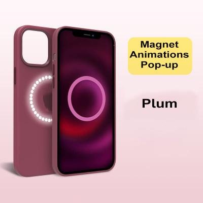 China New Arrival Magnetic Liquid Silicone Animations Case Shockproof Cell Phone Covers For iPhone 12 13 Mini Pro Max Silicone Pop Up Case for sale