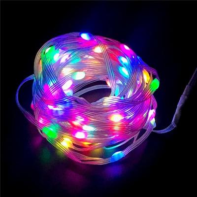 China LANDSCAPE outdoor waterproof led christmas tree 10m string 100 ip68 led light for sale