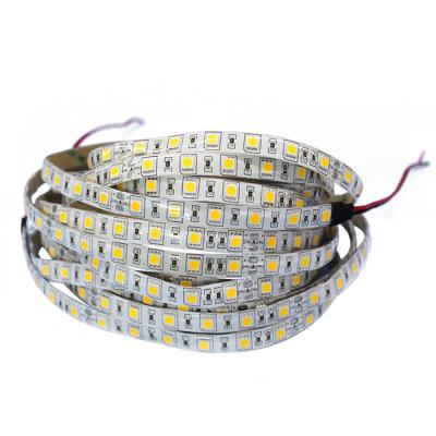 China Residential CE Rohs Certificate 12V 24V 14.4 W/M Single Color Flexible Led Strip Light W WW LE NW R G B SMD 5050 for sale