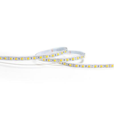 China Residential Flexible SMD 5050 Dual Color TDC dc24v Dual Color 5050 Led Strip 24V 2 Color In 1 Chip Temperature Adjustable TDC Led Strip for sale