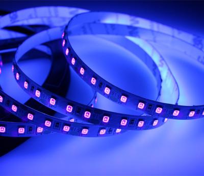 China Theme Park Blacklight LED UV Bar Strip 2835 SMD 365nm DC 12V 120leds/m Purple Ultraviolet Purple Light for sale